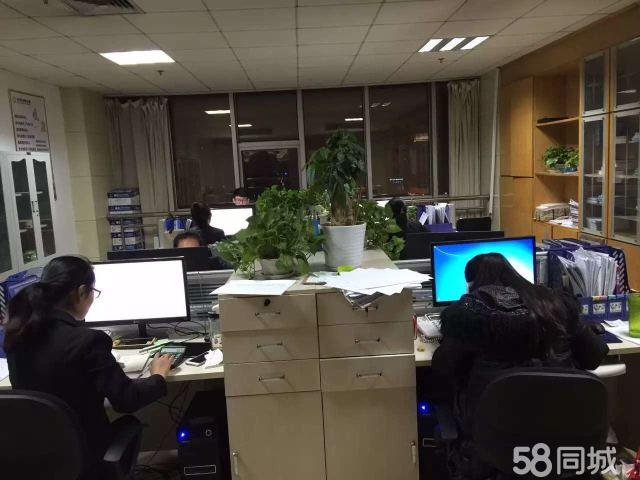 山東金證信息咨詢服務(wù) 賦能企業(yè)決策的專業(yè)伙伴